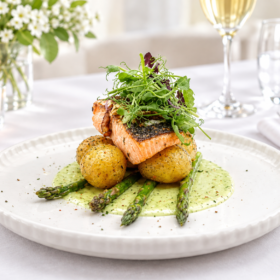 salmon